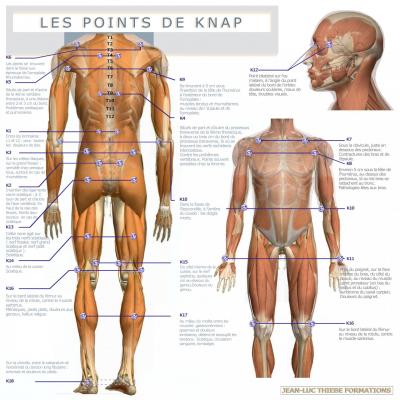 4 points de knap